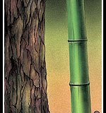 Osho-Zen-62