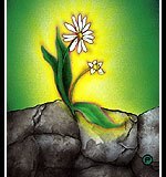 Osho-Zen-8